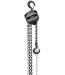 Chain Hoist 2 Ton 20' Lift